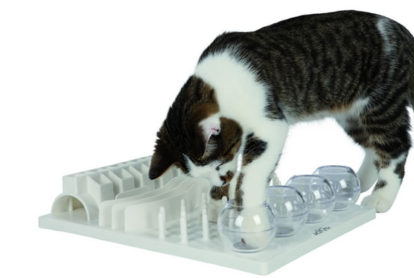 cat-activity-fun-board