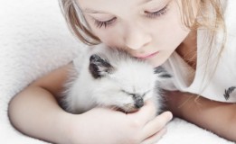 Le chaton et la petite fille tout en blanc