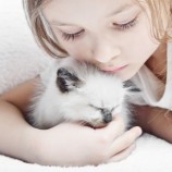 Le chaton et la petite fille tout en blanc