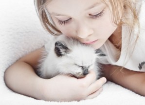 Le chaton et la petite fille tout en blanc