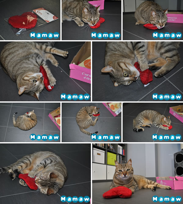 Le coussin en forme de coeur fourré à la catnip de la Miaoubox de Février 2014