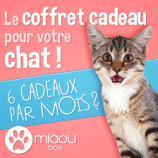 Gagnez la Miaoubox de Mars 2014 grâce à Mamaw !